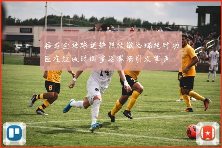 猛龙全场球迷热烈致敬洛瑞绝对功臣在垃圾时间重返赛场引发掌声