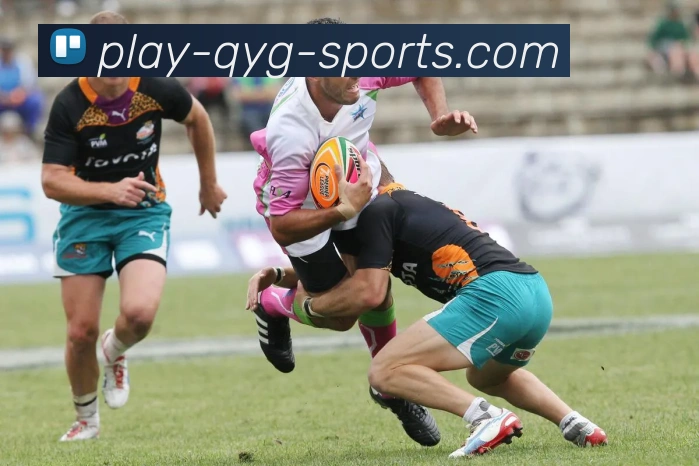 多媒体互动体验